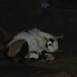 Meet your Posher, Hailey